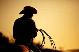 Cowboy On Horse Holding Rope